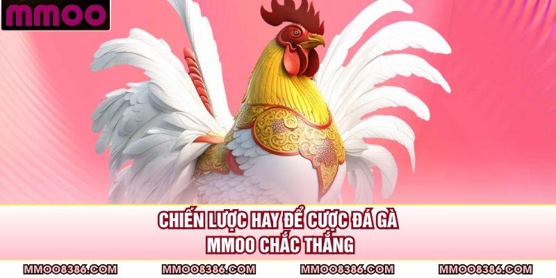 Chiến lược hay để cược đá gà MMOO chắc thắng