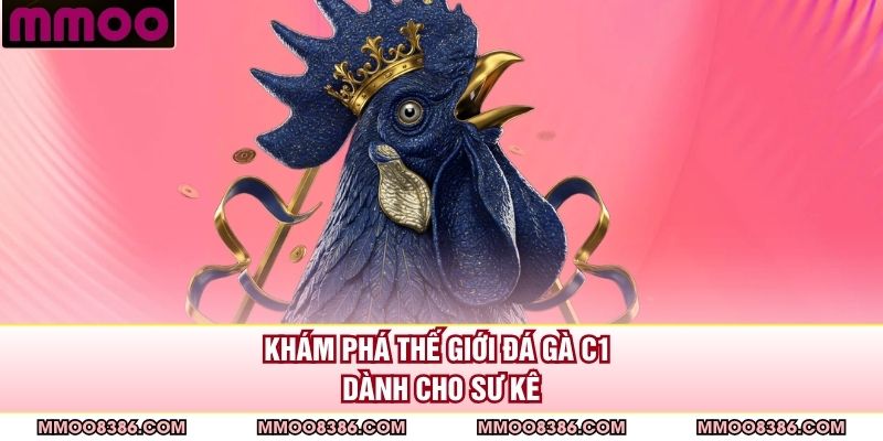Khám phá thế giới đá gà C1 dành cho sư kê