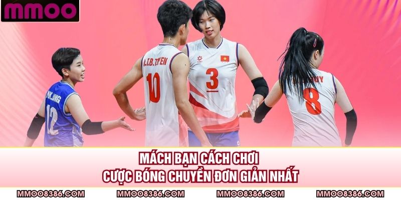 Mách bạn cách chơi cược bóng chuyền đơn giản nhất